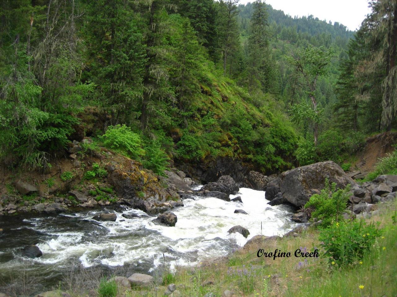 Konkolville Motel Orofino Luaran gambar